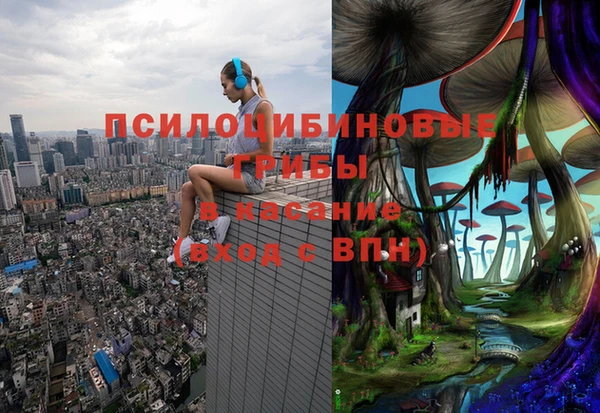 мдпв Балахна