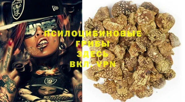 a pvp Арсеньев