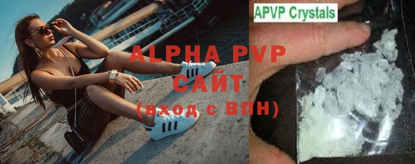 сатива Баксан