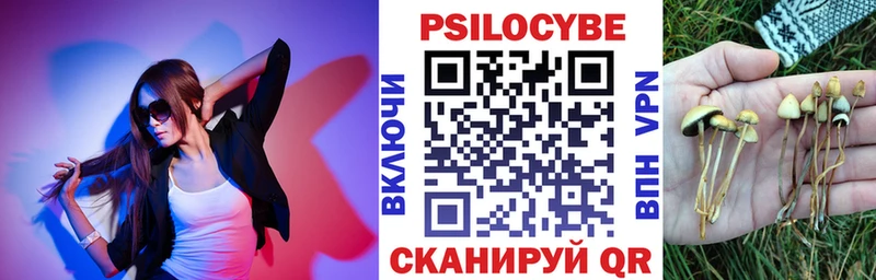 Псилоцибиновые грибы MAGIC MUSHROOMS  сайты даркнета клад  Свирск 